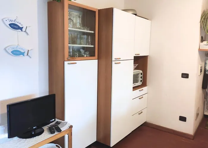 Miky Punta Asfodeli *