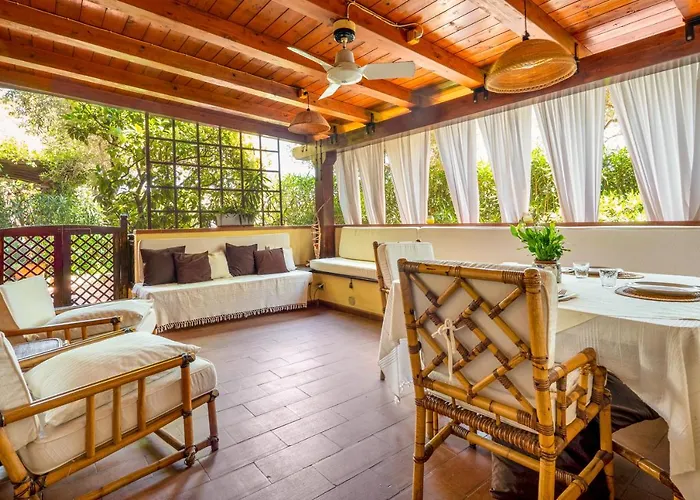 Miky Punta Asfodeli *